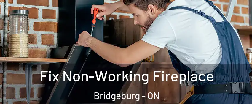 Fix Non-Working Fireplace Bridgeburg - ON