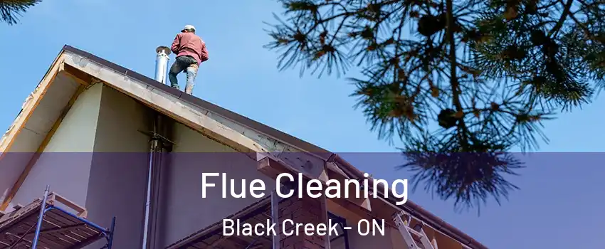  Flue Cleaning Black Creek - ON