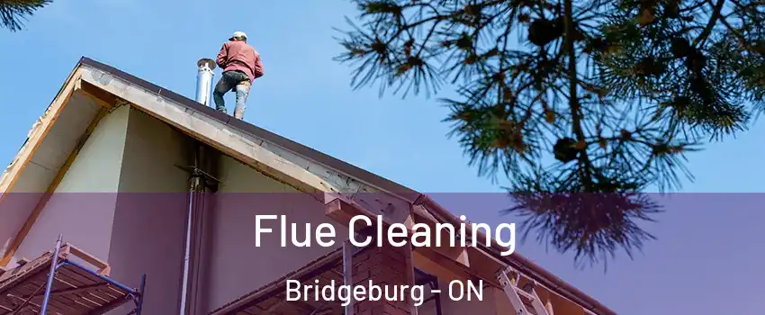  Flue Cleaning Bridgeburg - ON