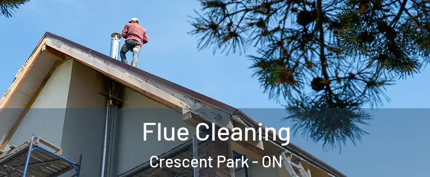  Flue Cleaning Crescent Park - ON