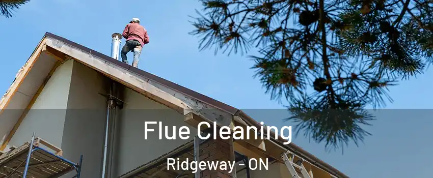  Flue Cleaning Ridgeway - ON