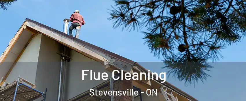  Flue Cleaning Stevensville - ON