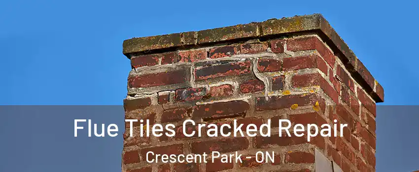  Flue Tiles Cracked Repair Crescent Park - ON