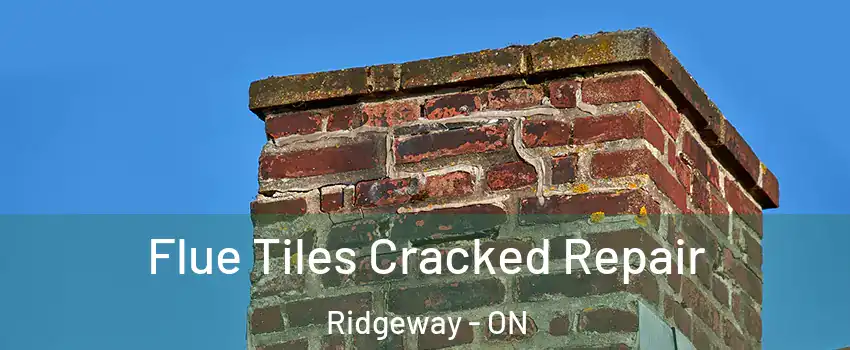  Flue Tiles Cracked Repair Ridgeway - ON