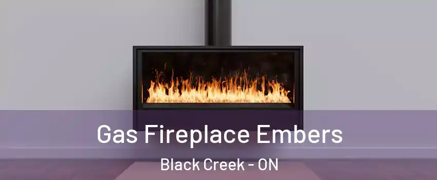  Gas Fireplace Embers Black Creek - ON