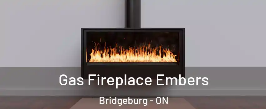  Gas Fireplace Embers Bridgeburg - ON