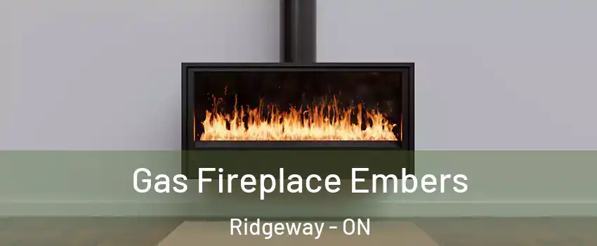  Gas Fireplace Embers Ridgeway - ON