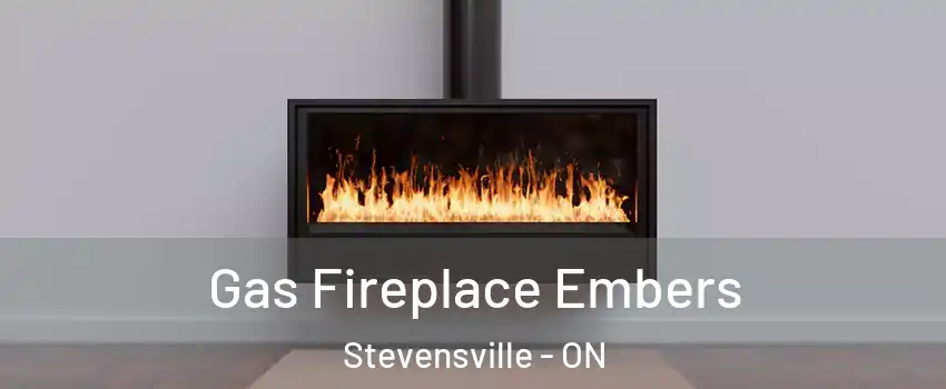  Gas Fireplace Embers Stevensville - ON