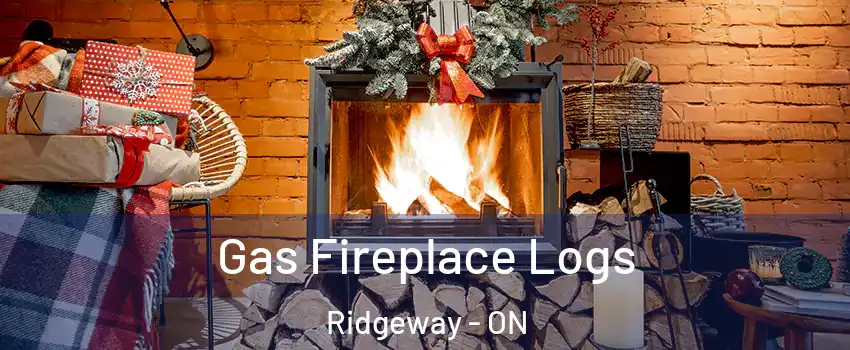  Gas Fireplace Logs Ridgeway - ON