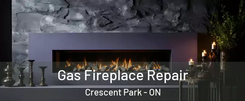  Gas Fireplace Repair Crescent Park - ON