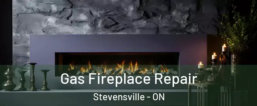  Gas Fireplace Repair Stevensville - ON
