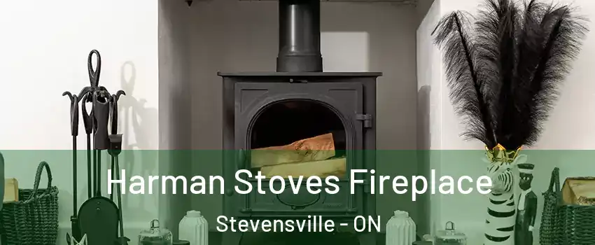  Harman Stoves Fireplace Stevensville - ON