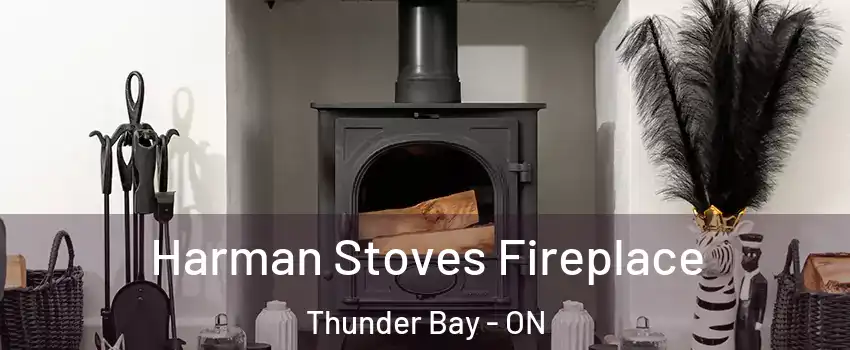  Harman Stoves Fireplace Thunder Bay - ON