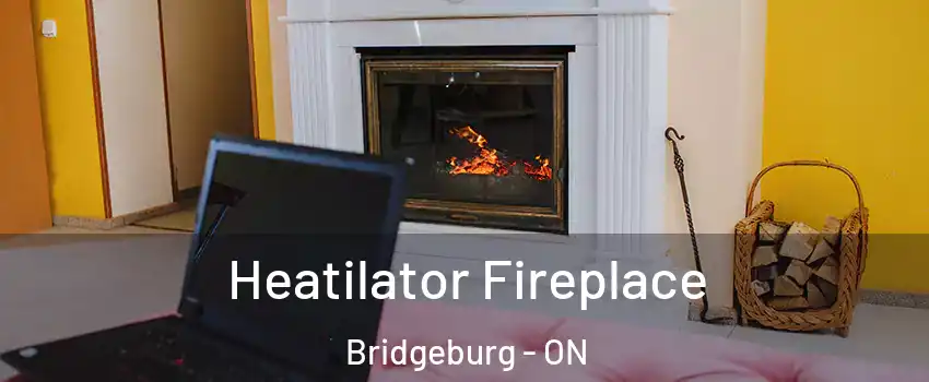  Heatilator Fireplace Bridgeburg - ON