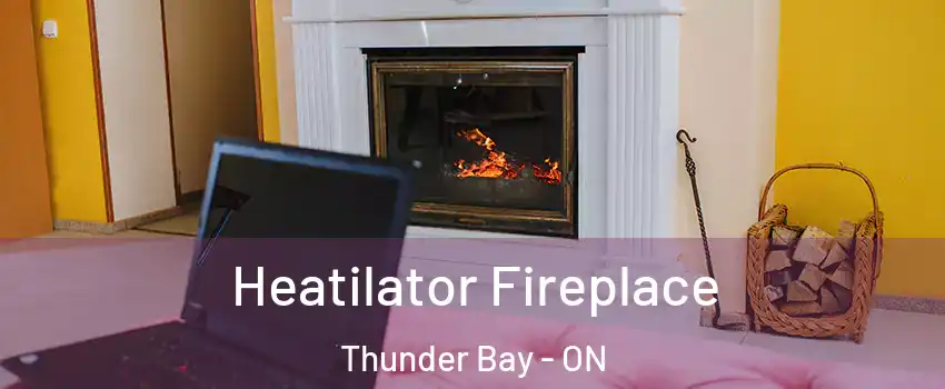  Heatilator Fireplace Thunder Bay - ON