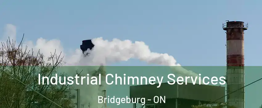  Industrial Chimney Services Bridgeburg - ON