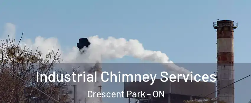  Industrial Chimney Services Crescent Park - ON