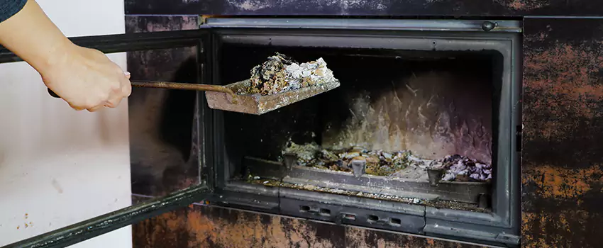 Wood Burning Chimney Odor Removal in Ridgeway, Ontario