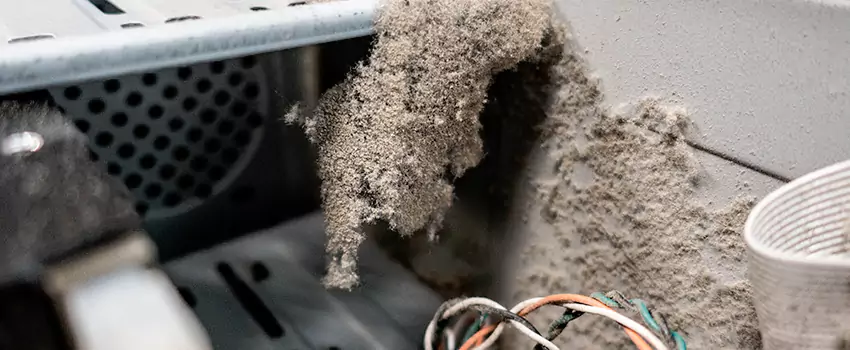 Clogged Dryer Vent Lint Cleaning in Ridgeway, Ontario