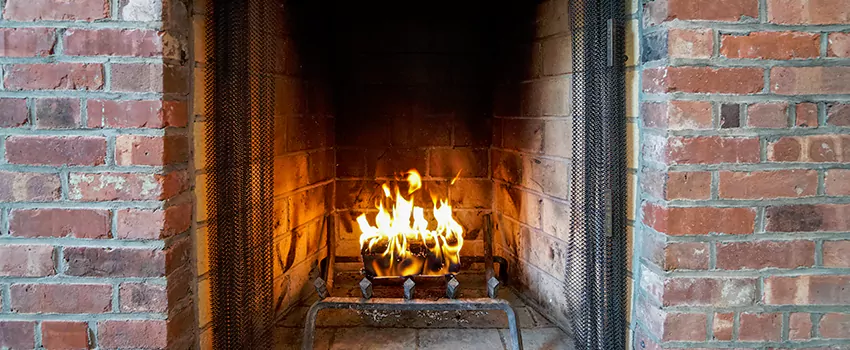 Remove Creosote From Brick in Ridgeway, ON