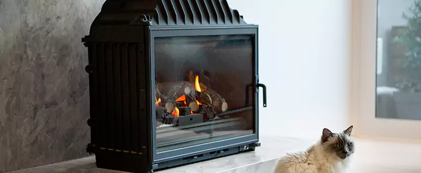 Fireplace Damaged Damper Frame Repair Services in Ridgeway, Ontario