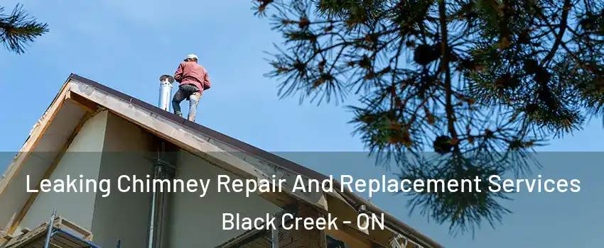  Leaking Chimney Repair And Replacement Services Black Creek - ON