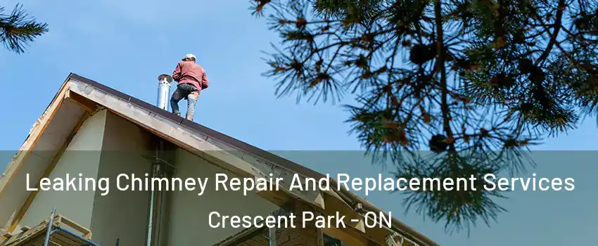  Leaking Chimney Repair And Replacement Services Crescent Park - ON
