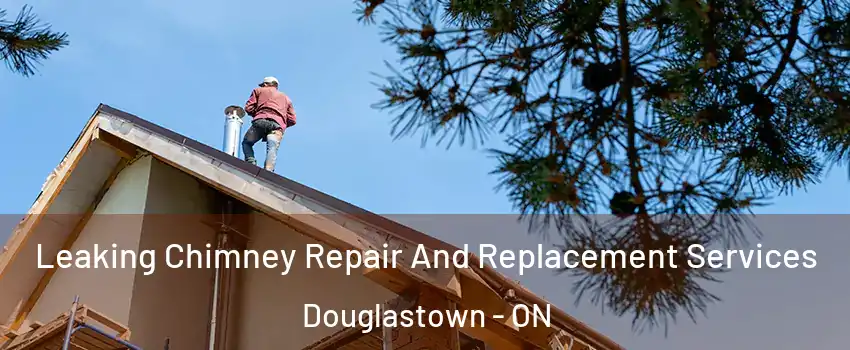  Leaking Chimney Repair And Replacement Services Douglastown - ON