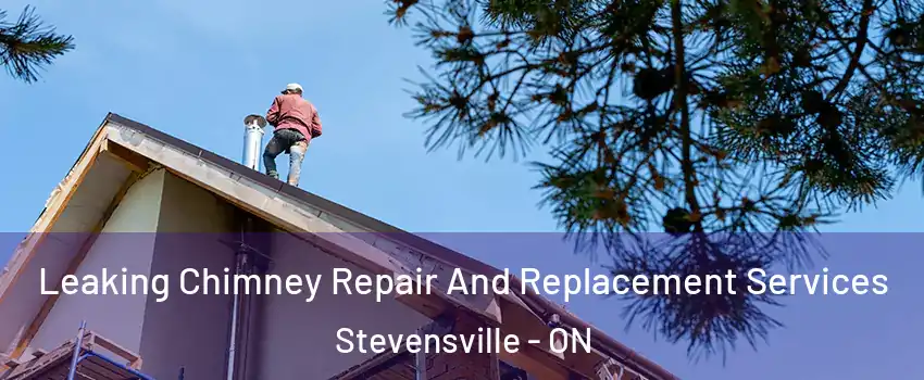  Leaking Chimney Repair And Replacement Services Stevensville - ON