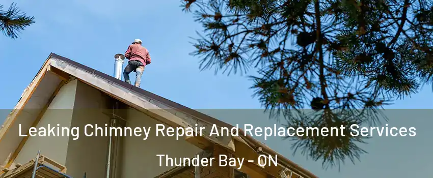  Leaking Chimney Repair And Replacement Services Thunder Bay - ON