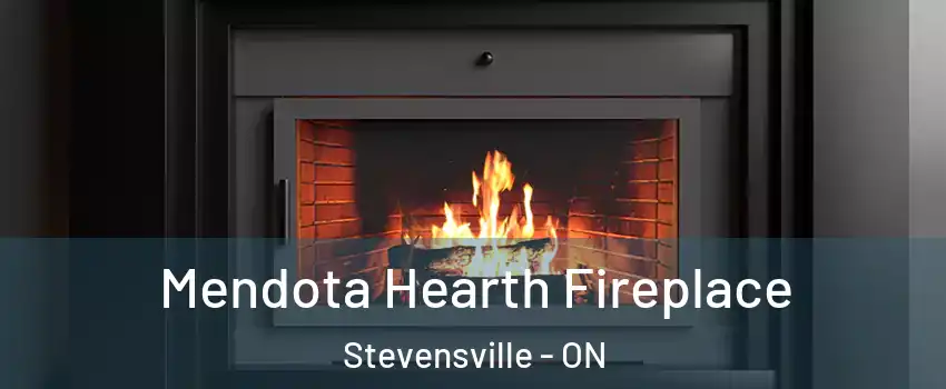  Mendota Hearth Fireplace Stevensville - ON
