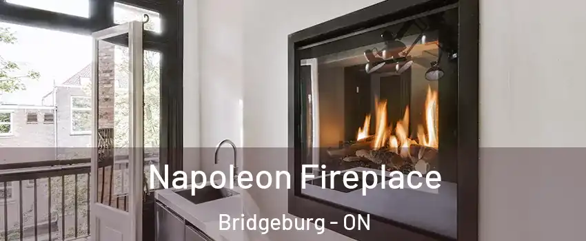  Napoleon Fireplace Bridgeburg - ON