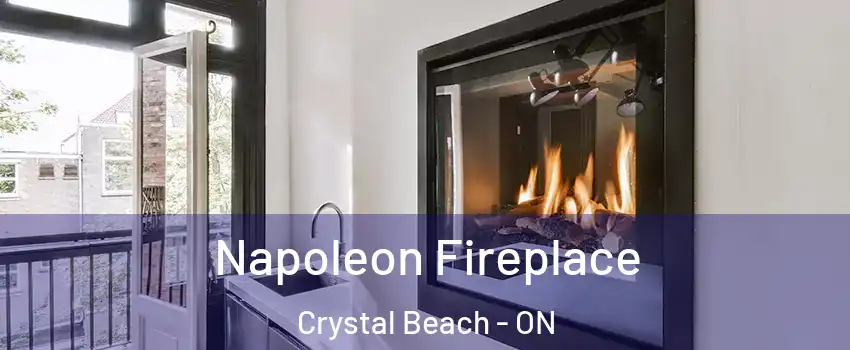  Napoleon Fireplace Crystal Beach - ON
