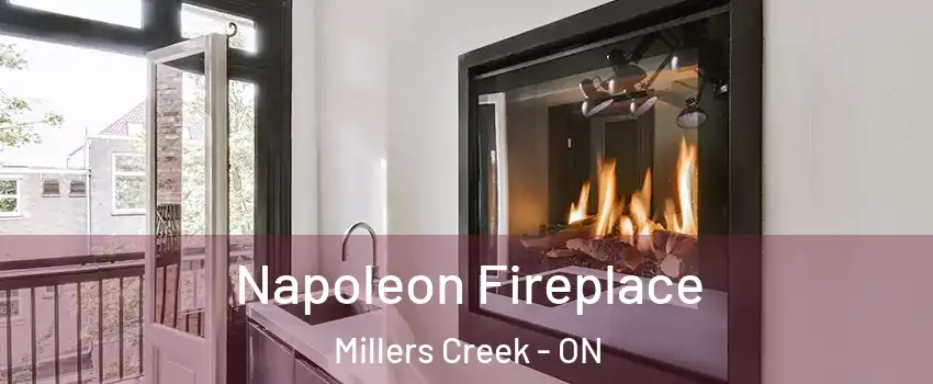  Napoleon Fireplace Millers Creek - ON