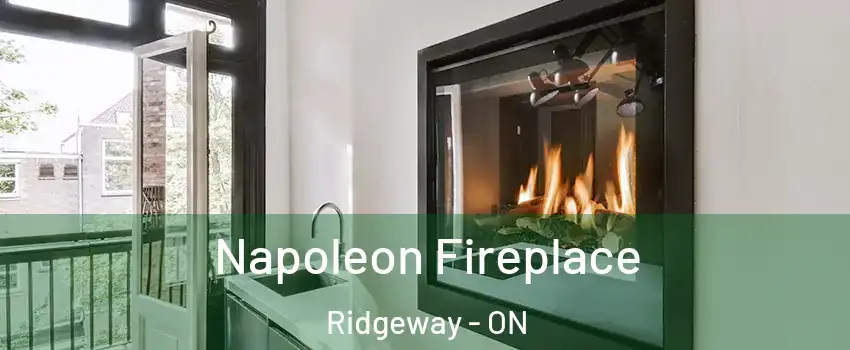  Napoleon Fireplace Ridgeway - ON