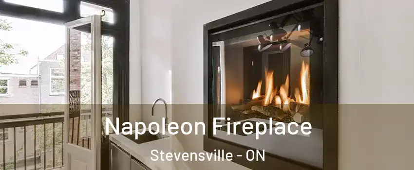  Napoleon Fireplace Stevensville - ON