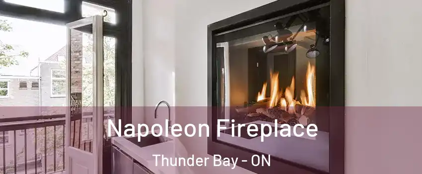  Napoleon Fireplace Thunder Bay - ON
