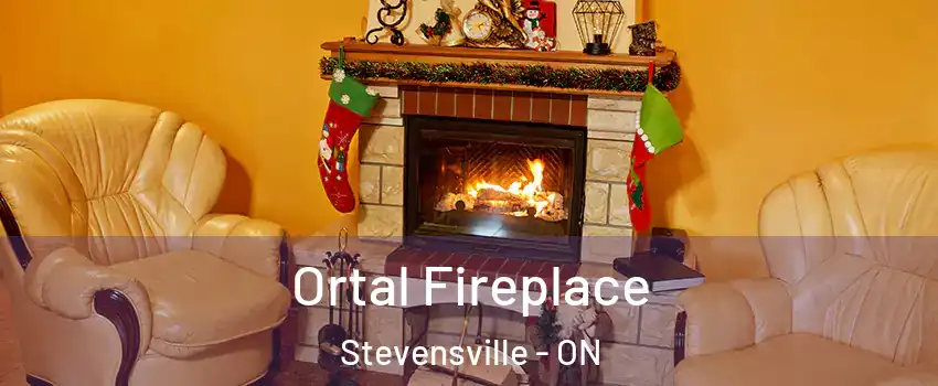  Ortal Fireplace Stevensville - ON
