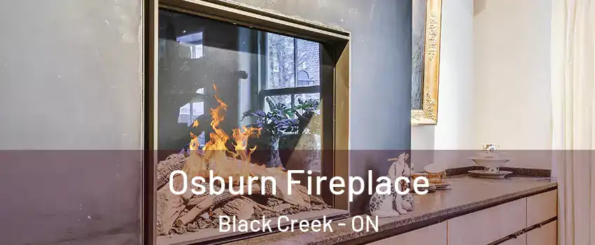  Osburn Fireplace Black Creek - ON