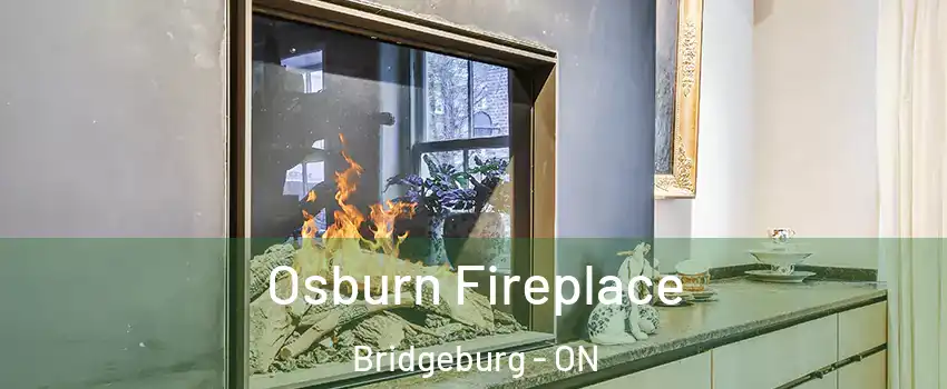  Osburn Fireplace Bridgeburg - ON