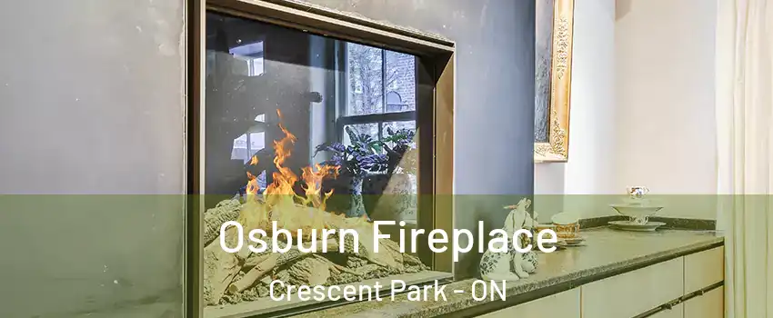  Osburn Fireplace Crescent Park - ON