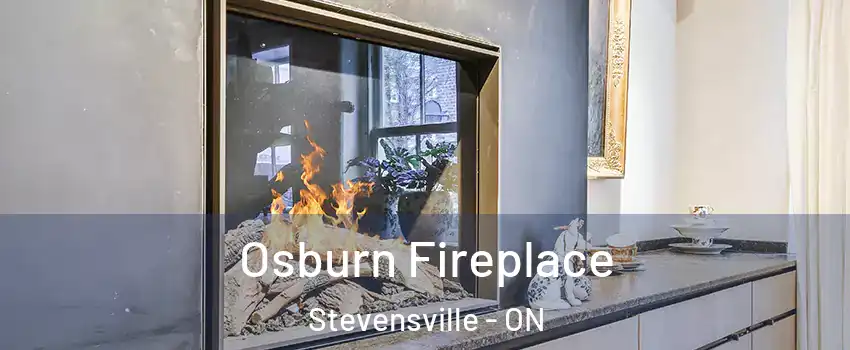  Osburn Fireplace Stevensville - ON