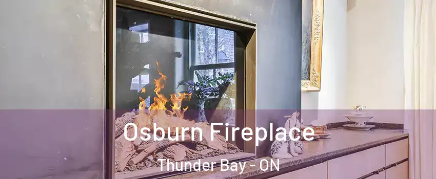  Osburn Fireplace Thunder Bay - ON