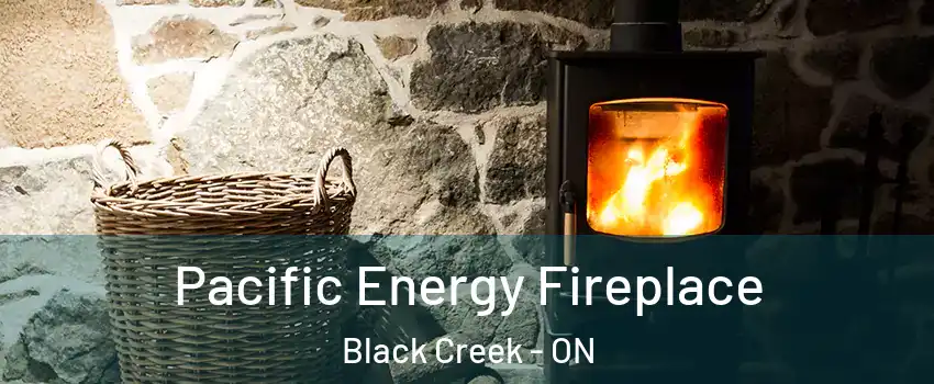  Pacific Energy Fireplace Black Creek - ON