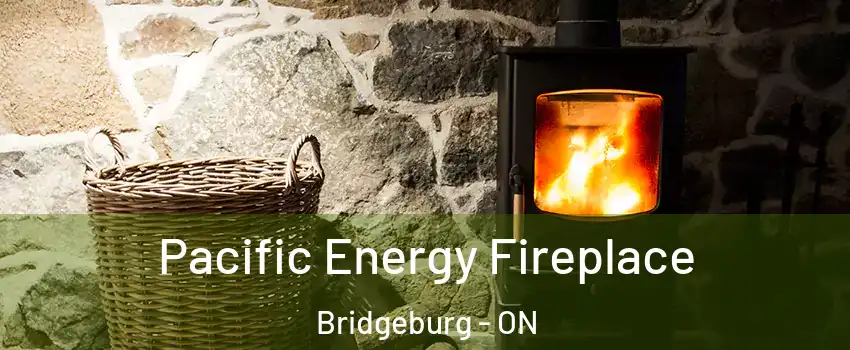  Pacific Energy Fireplace Bridgeburg - ON
