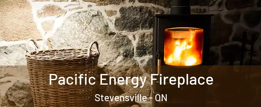  Pacific Energy Fireplace Stevensville - ON