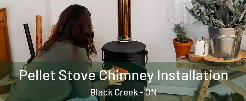  Pellet Stove Chimney Installation Black Creek - ON