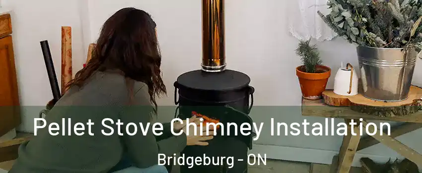  Pellet Stove Chimney Installation Bridgeburg - ON
