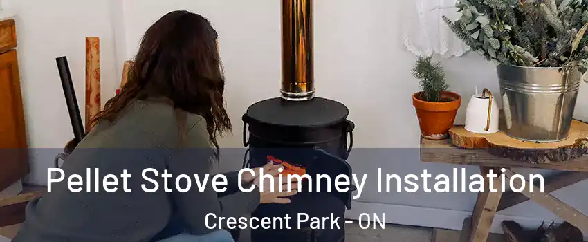  Pellet Stove Chimney Installation Crescent Park - ON