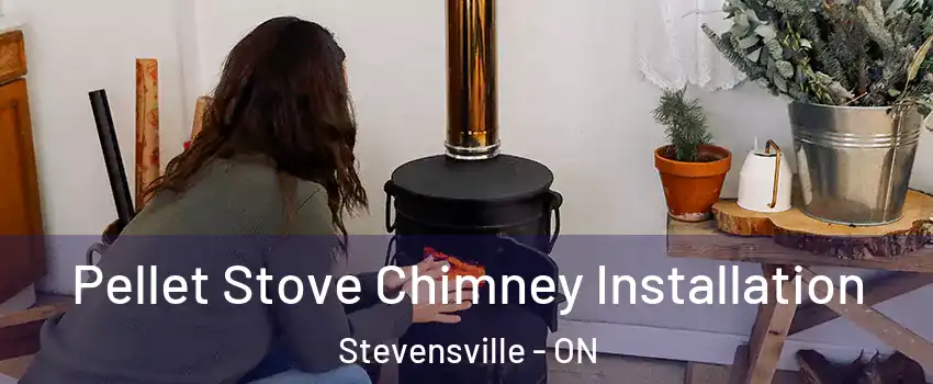  Pellet Stove Chimney Installation Stevensville - ON